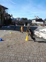 Img 20230221 105336