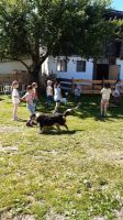 Img 20230629 Wa0010