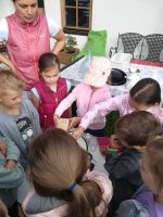 Img 20230629 080814