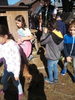 Img 20230629 085315