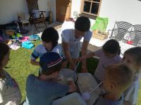 Img 20230629 101315