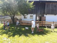 Img 20230629 104612