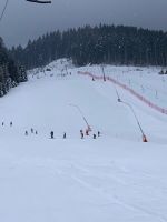 Img 8786