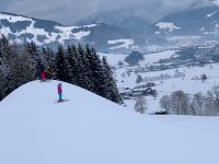 Img 8807