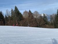 Img 8998