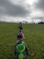 Img 0862