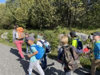 Img 0887