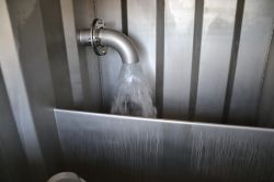 Dsc 0310