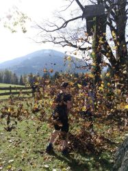 Img 20241017 Wa0025