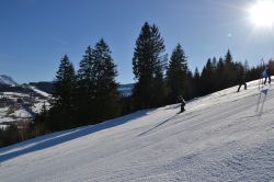 Dsc 0299