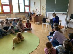 Img 8598