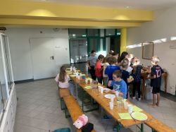 Img 4630