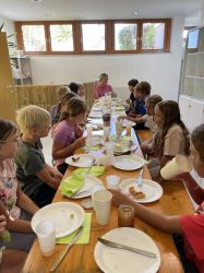 Img 4631