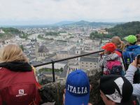 Img 2766