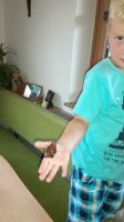 20180726 173835