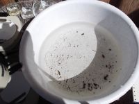 Dscf0005
