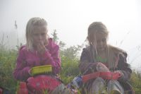 Dsc 0603
