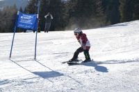 Dsc 0010