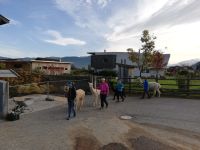 Img 20191024 Wa0004