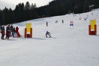 Dsc 0059   Kopie   Kopie   Kopie   Kopie   Kopie   Kopie   Kopie