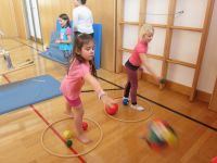 Img 5981