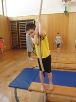 Img 5990