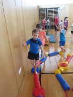 Img 5993